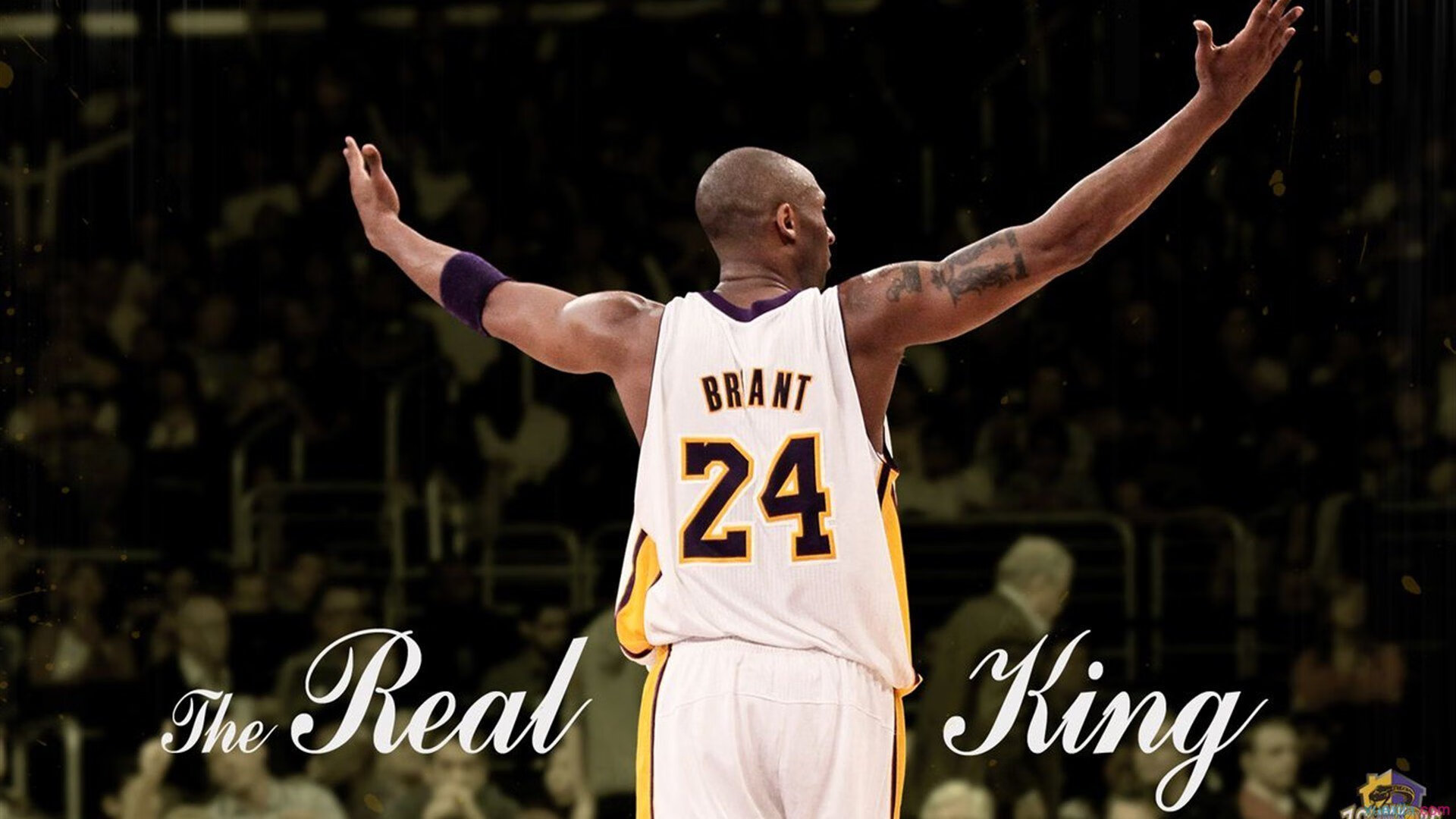 沃尔什夺金背后训练片段曝光，沃尔精彩集锦